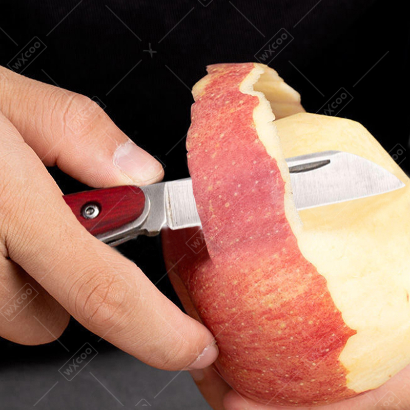 Stainless Steel Pocket Knife R - đánh giá và giá Kitchen Q