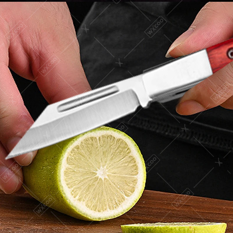 Stainless Steel Pocket Knife R - đánh giá và giá Kitchen Q